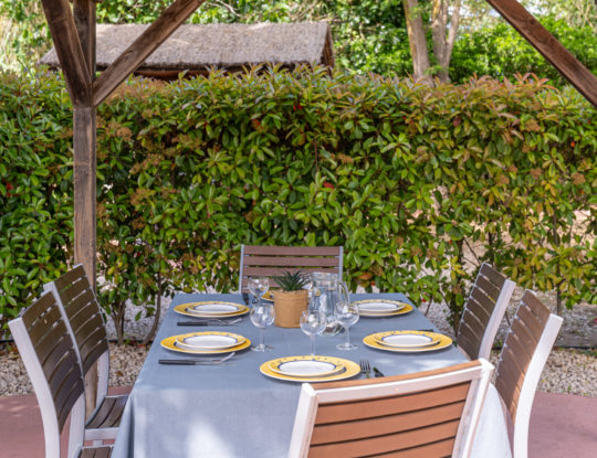 Camping Californie Plage - Accommodation - Maho Prestige mobile home - covered terrace