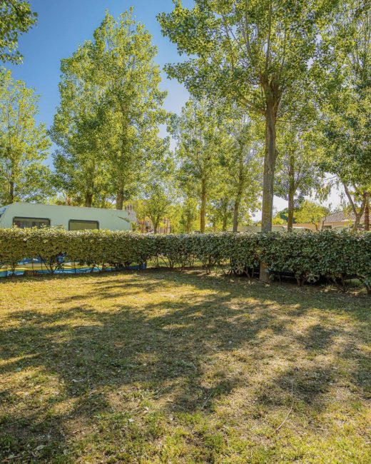 Camping Californie Plage - Hébergements - Emplacement confort avec une surface de 80 m² minimum