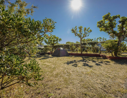 Camping Californie Plage - Accommodation - Premium pitch