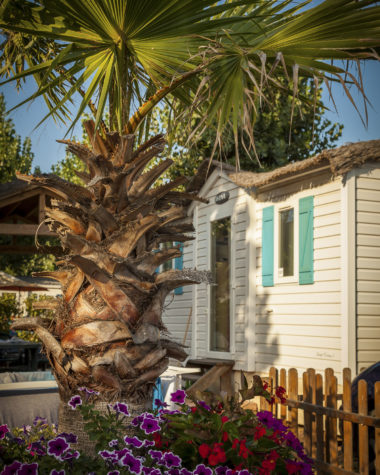 Camping Californie Plage - Démarches pour l\'environnement - 