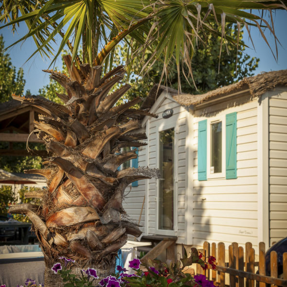 Camping Californie Plage - Démarches pour l\'environnement - 