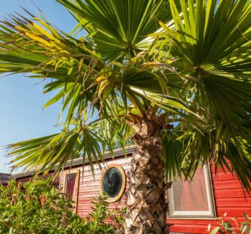 Camping Californie Plage - Environnement du camping