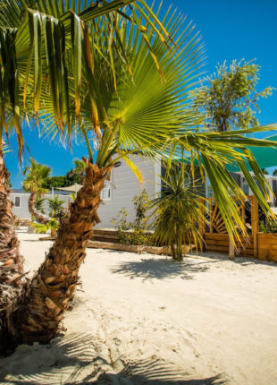 Camping Californie Plage - Hébergement dans des allées végétalisées 