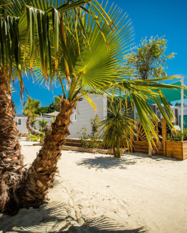 Camping Californie Plage - Hébergement dans des allées végétalisées 