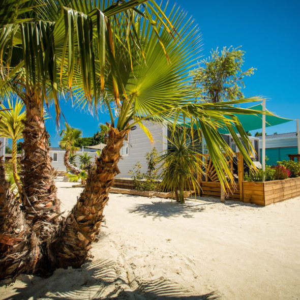 Camping Californie Plage - Hébergement dans des allées végétalisées 