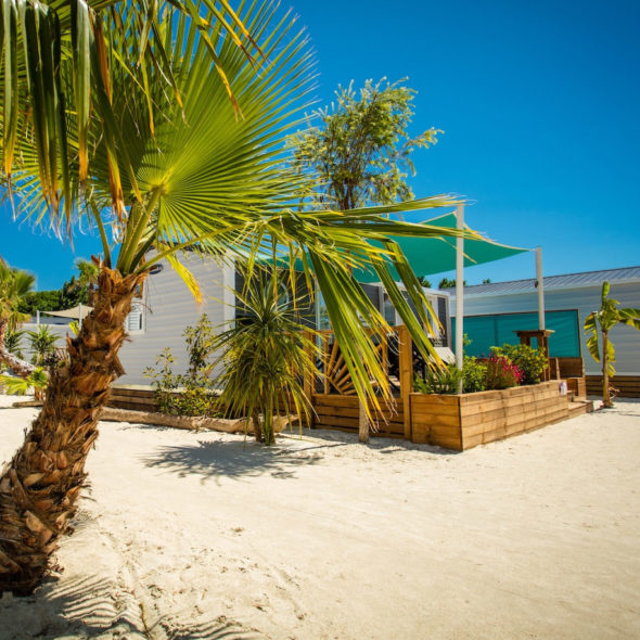 Camping Californie Plage - Hébergement dans des allées végétalisées