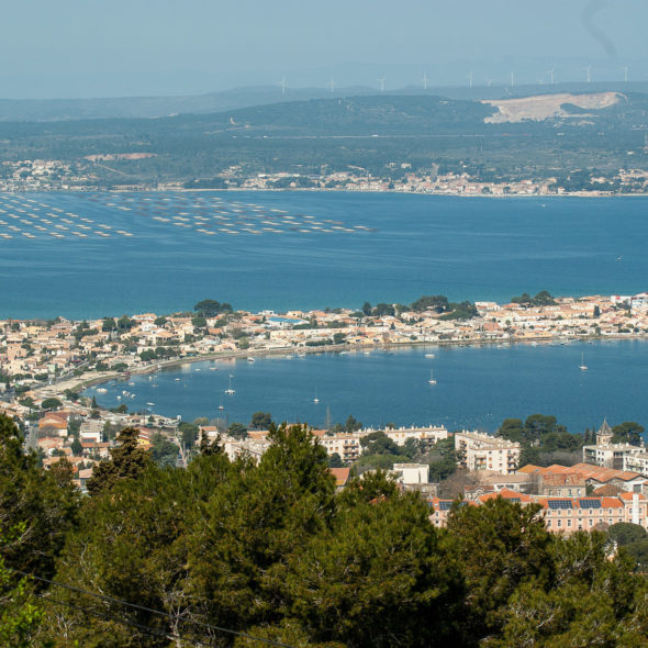Camping Californie Plage - La région - 