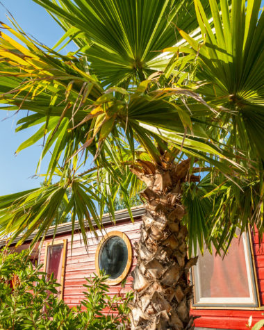 Camping Californie Plage - Hébergements en pleine nature