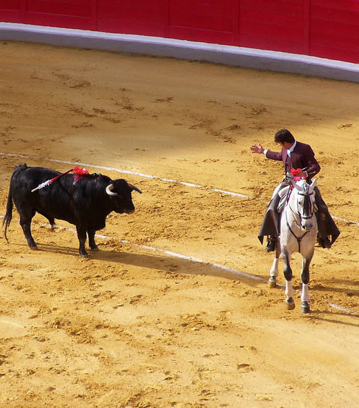 Corrida à Béziers